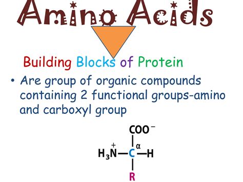 SOLUTION Amino Acid Studypool