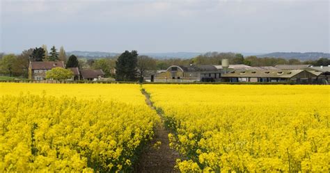 Footpath To Church Farm © Steven Ruffles Geograph Britain And Ireland