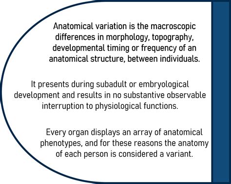 Introduction To Anatomical Variation Anatomical Variation An