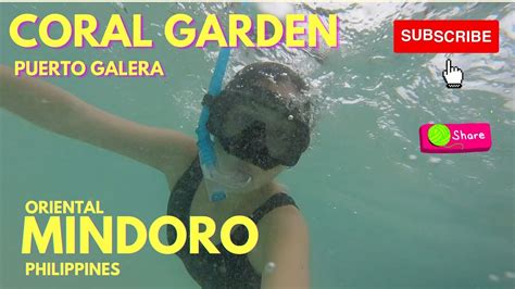 Coral Garden Youtube