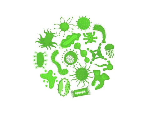 Bacterial Microorganisms And Germs Under Round Magnifying Glass