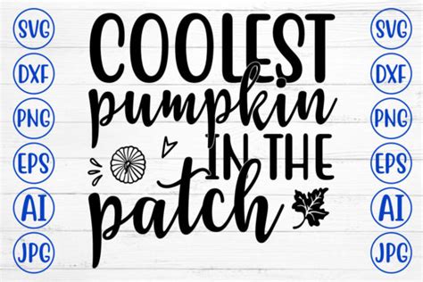 Coolest Pumpkin In The Patch Svg Graphic By Graphicbd Creative Fabrica