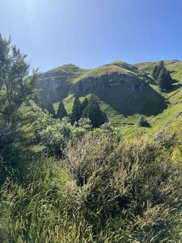 Best Hikes And Trails In Te Mata Trust Park Alltrails