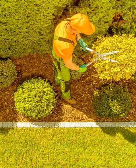 Florlidi Disinfestazione Disinfezione Cura Del Verde