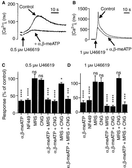 P2x1 Receptors Contribute To Thromboxane A2 Receptor Evoked Ca2