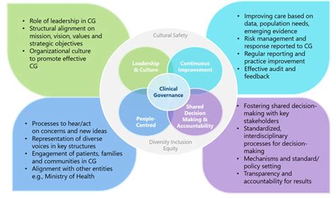 Clinical Governance Improvement Initiative Medical Staff