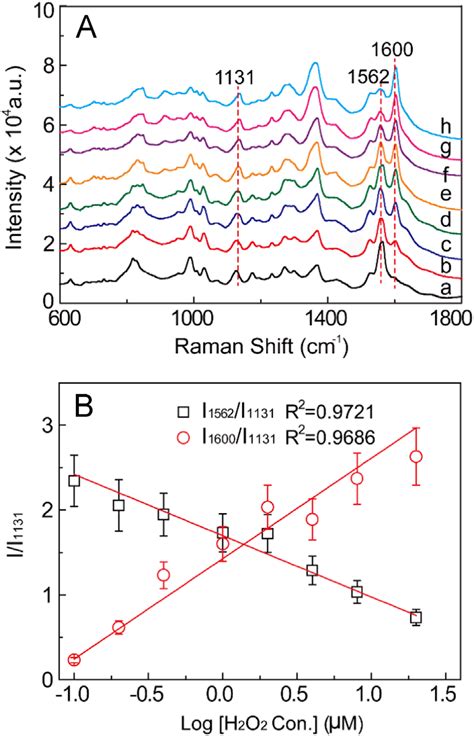 A Raman Spectra Of Au Nps4 Ca With Varying H 2 O 2 Concentration