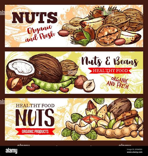 Nuts And Beans Sketch Banners Of Organic Coconut Peanuts Pistachios