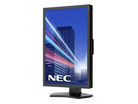 NEC MultiSync P212 21" UXGA IPS Monitor - 60003862 | CCL Computers
