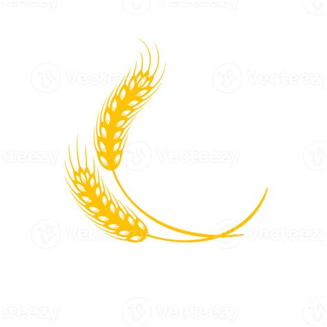 Ears Of Wheat Whole Grains For Making Bread 14606480 PNG