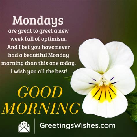 Monday Morning Wishes Greetings Wishes