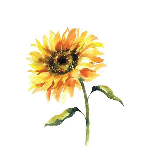 Sunflower Watercolor Tutorial | Sunflower watercolor painting ...