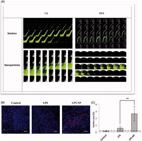 A Nanoparticle Based Approach To Improve The Outcome Of Cancer Active