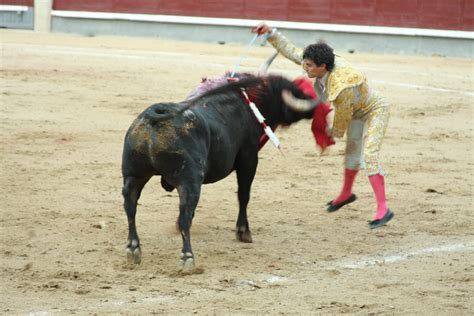 Bull Fighting: Madrid Bullfight