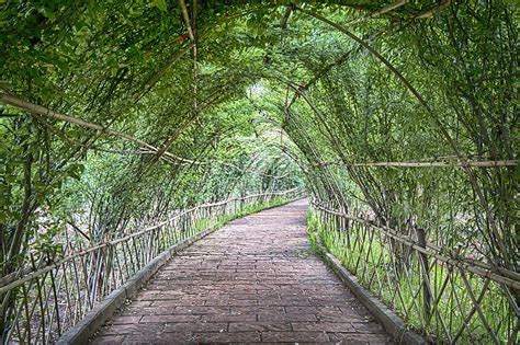 Green corridor photo image_picture free download 500660556_lovepik.com