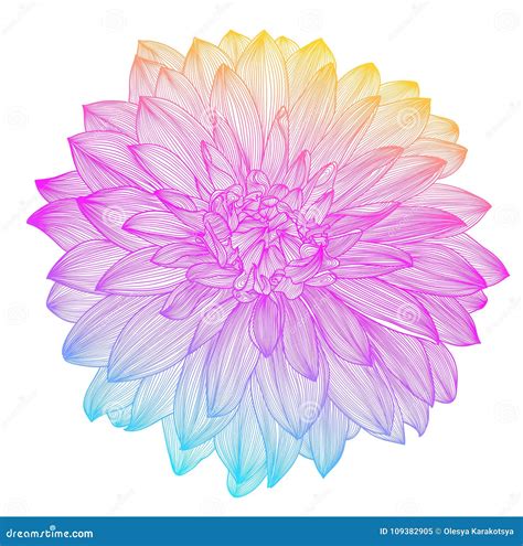 Rainbow Flower Drawing Outlet | dakora.com.co