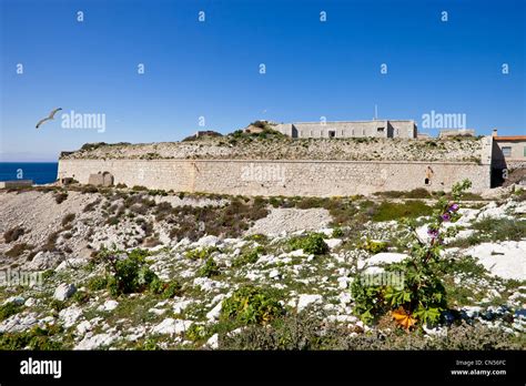 France Bouches Du Rhone Marseille Archipel Du Frioul Ile Ratonneau