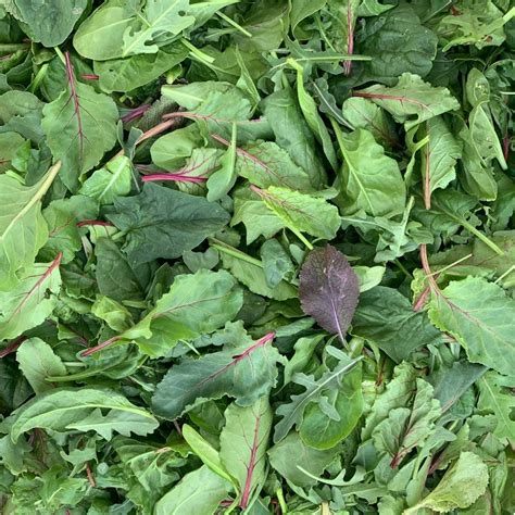 Mesclun (100g) - Vallée Des Sens