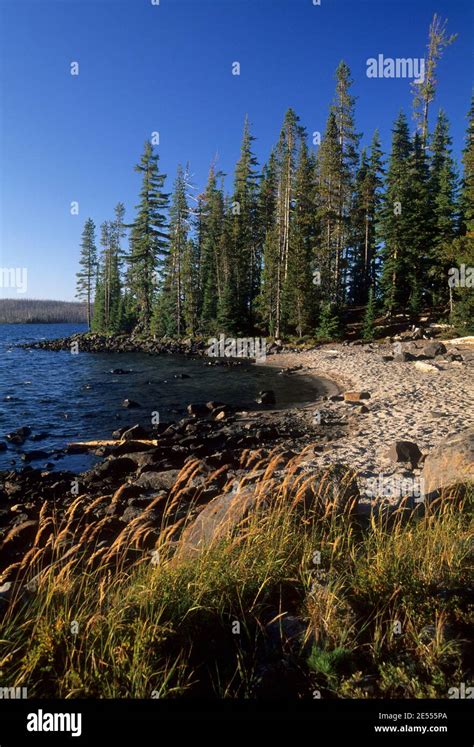 Waldo Lake State Scenic Waterway Willamette National Forest Oregon