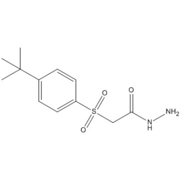 1024081 75 1 2 4 Tert Butyl Phenyl Sulfonyl Acetohydrazide