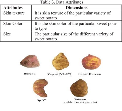 Table 3 From Classification Of Sweet Potato Variety Using Convolutional Neural Network