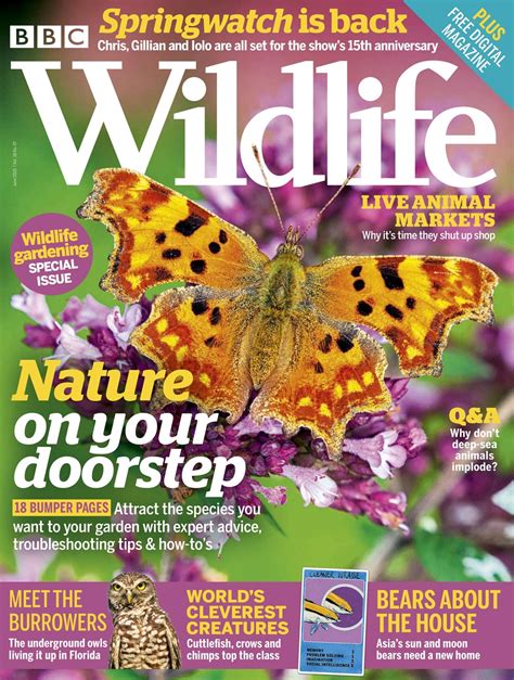 Bbc Wildlife Magazine June 2020 Subscriptions Pocketmags