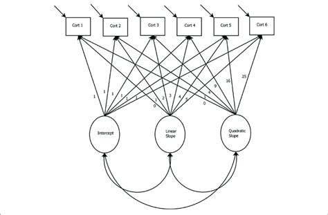 Latent Growth Curve Model With Linear And Quadratic Slopes Cort
