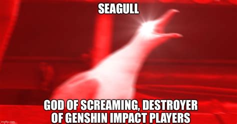 All Hail The Gull Imgflip