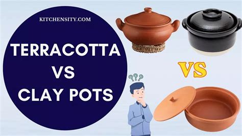 Differences Between Terracotta And Clay Pots For Cooking