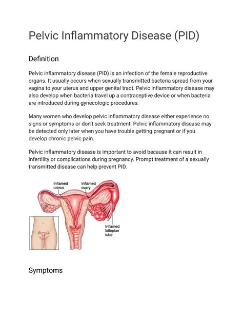 Pelvic Inflammatory Disease Pid Pelvic Inflammatory Disease Pid