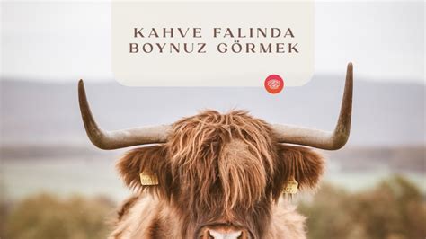 Kahve Falında Boynuz Görmek Fal Sepeti Blog