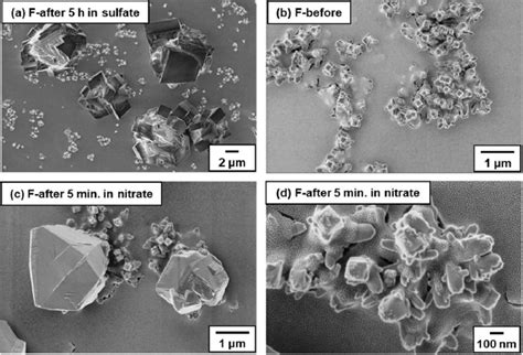 Surface Morphologies Of The IrO 2 Ta 2 O 5 Ti Anode F Ir 50 Mol