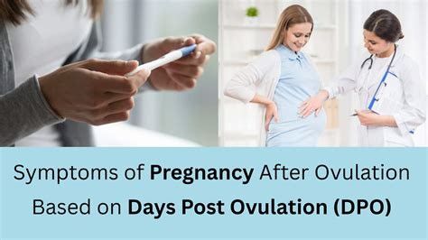 Early Pregnancy Symptoms After Ovulation: Day By Day(DPO) | Sprint Medical