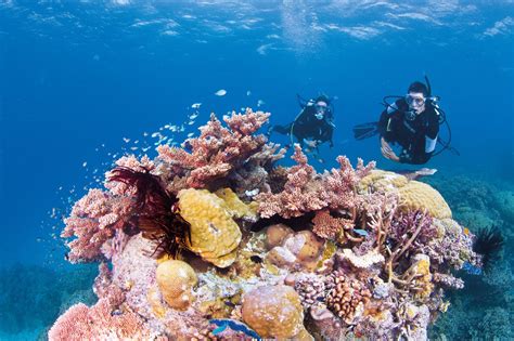 The Great Barrier Reef, Queensland, Australia | Nimrod Resort