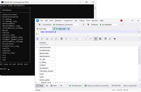 How To Show List Of All Databases In Mysql Explained