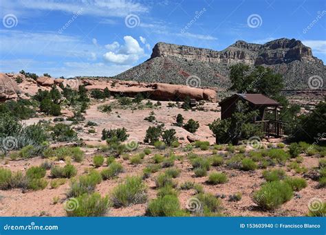 Tuweep Campground In The Grand Canyon Stock Photo Image Of Tranquil