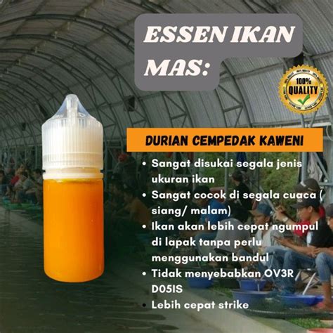 Jual Essen Ikan Mas Oplosan Durian Cempedak Kaweni Cocok Segala Cuaca