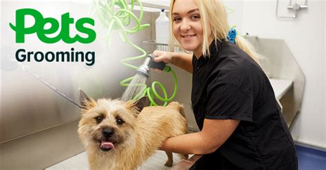 Pets At Home Vip