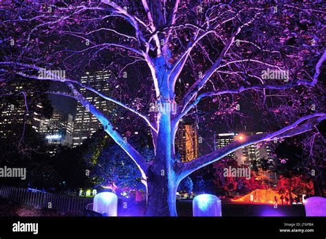Vivid Light Show Sydney 2017 Royal Botanic Gardens Stock Photo Alamy