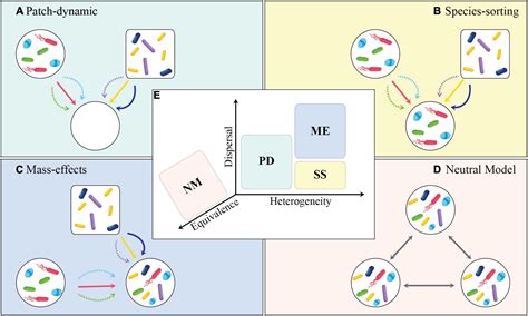 Frontiers Ecological And Evolutionary Implications Of Microbial Dispersal