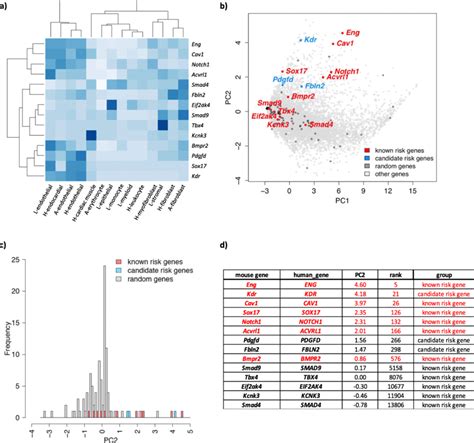 Gene Expression Patterns Of Pah Risk Genes Using Murine Single Cell Download Scientific Diagram