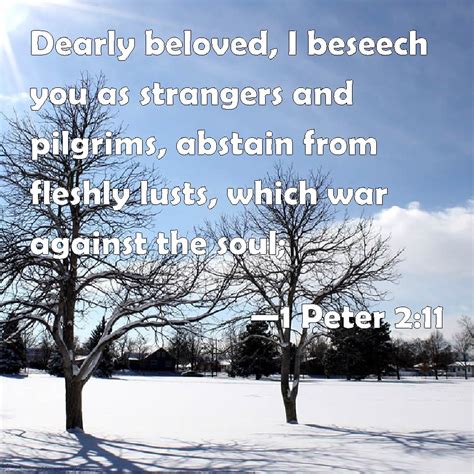 1 Peter 211 Dearly Beloved I Beseech You As Strangers And Pilgrims