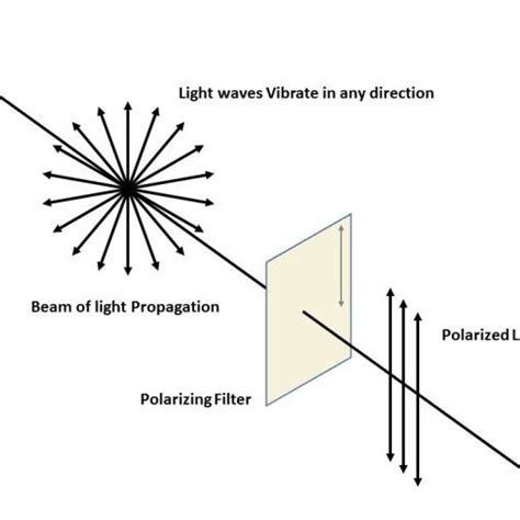 Blocking Of Polarized Light By Use Of Second Polarizer Film Wave