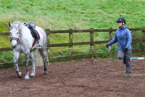 Long Lining – Intelligent Horsemanship – Adam Goodfellow – Nicole Golding