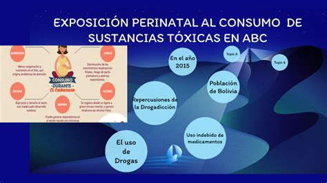 Exposicion Perinatal Al Consumo De Sustancias Toxicas En Abc By Ketty