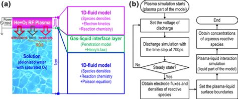 A Schematic Diagram Of One Dimensional Simulation Model Of Plasmawater