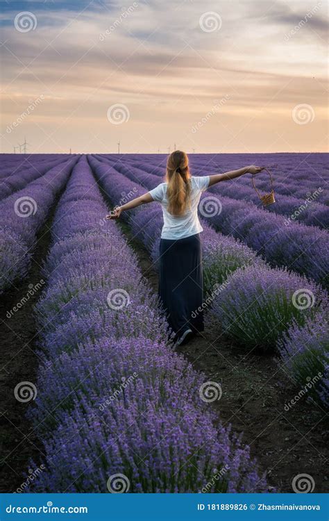 Woman In A Lavender Field Stock Photo Image Of Pastoral 181889826