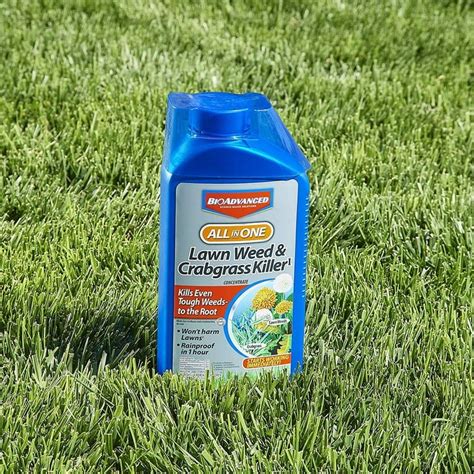 Image Lawn Weed And Crabgrass Killer Reviews Informacionpublica Svet Gob Gt