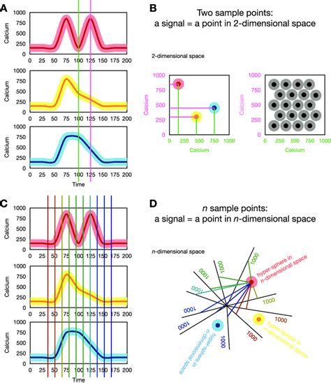 The Geometry Of Calcium Signal Encoding A For Calcium Signals To