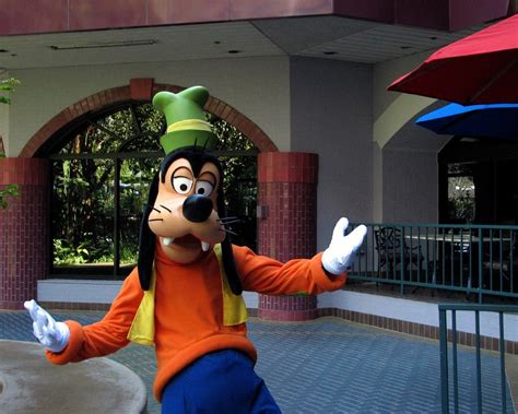 Fun Facts You Didnt Know About Goofy